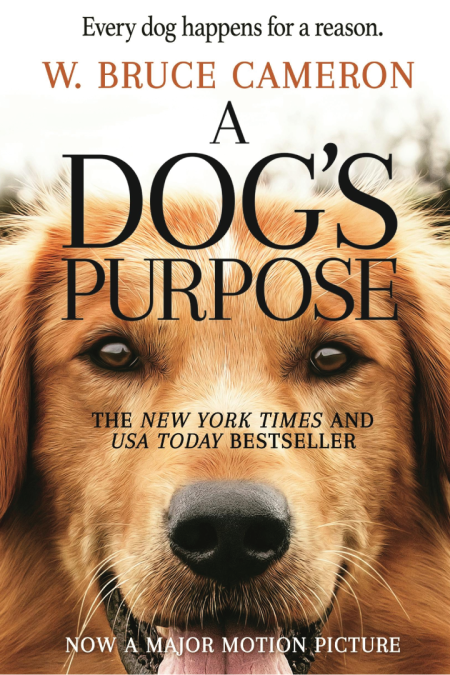 A dog's purpose