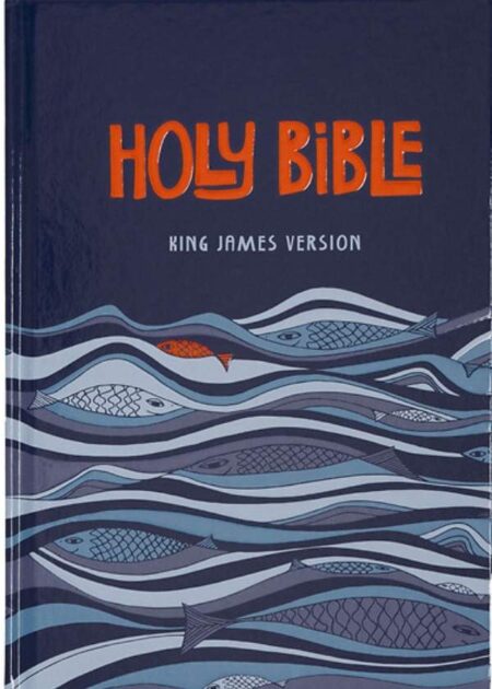 Holy Bible For Kids KJV
