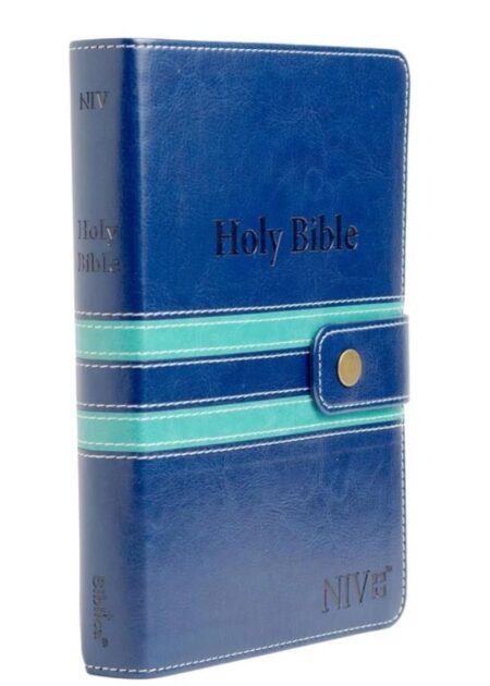 NIV PU Index Blue