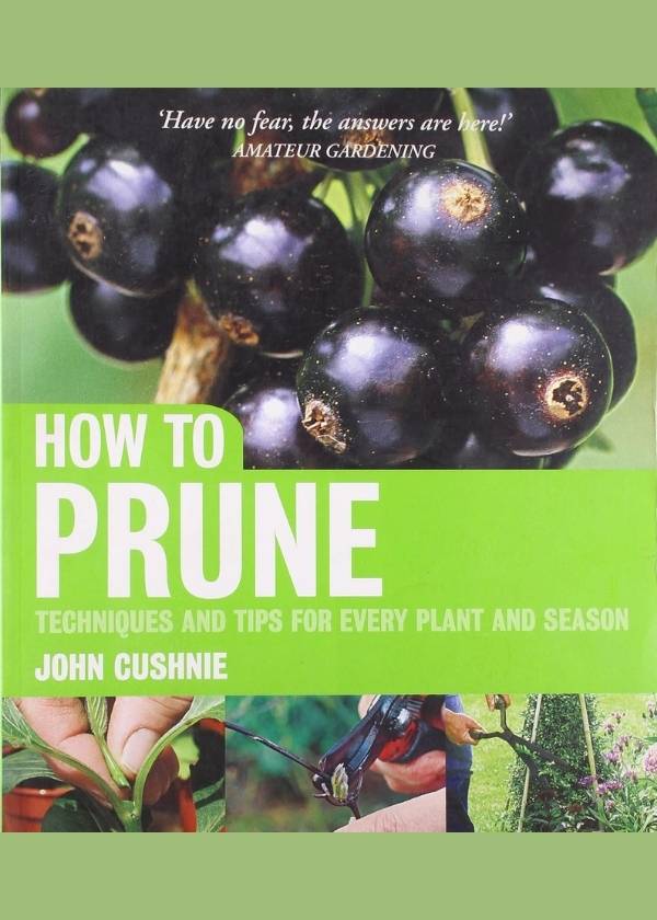 How To Prune