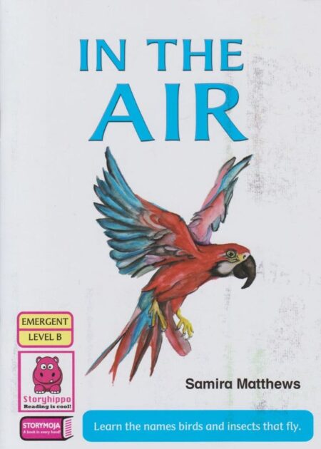 In The Air