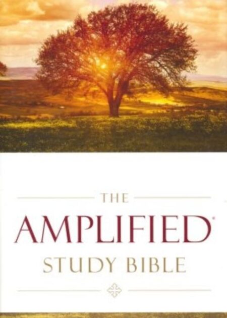 Holy Bible The Amplified Study Bible