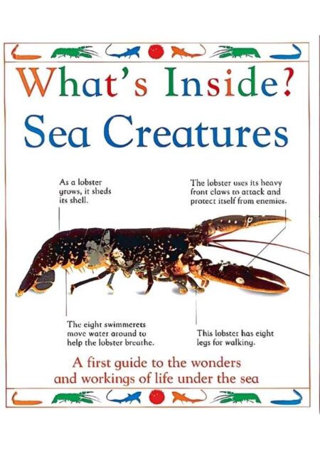 What's Inside? Sea Creatures