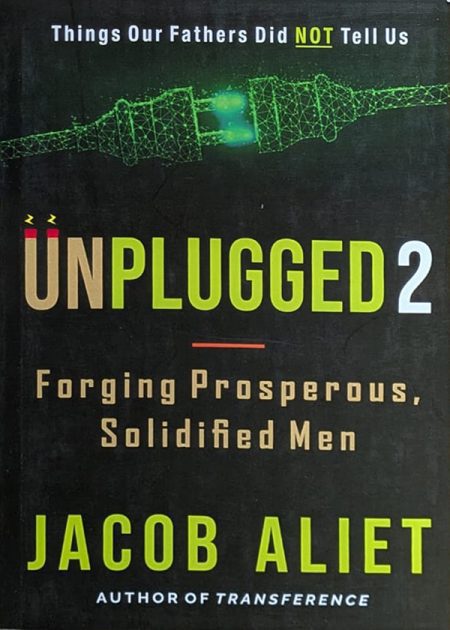 Unplugged 2
