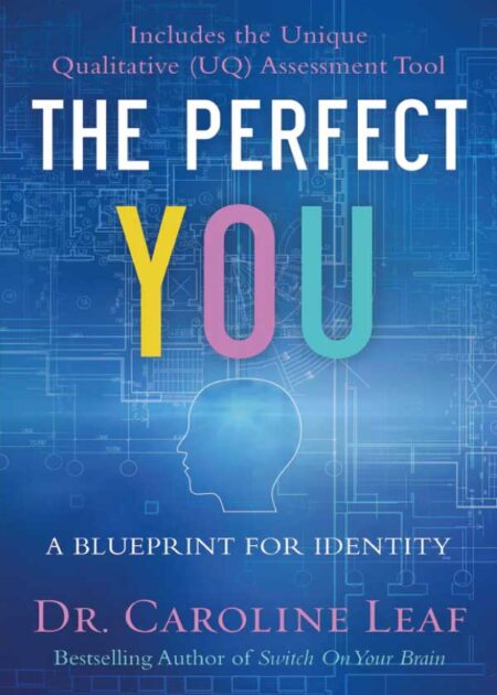 The Perfect You