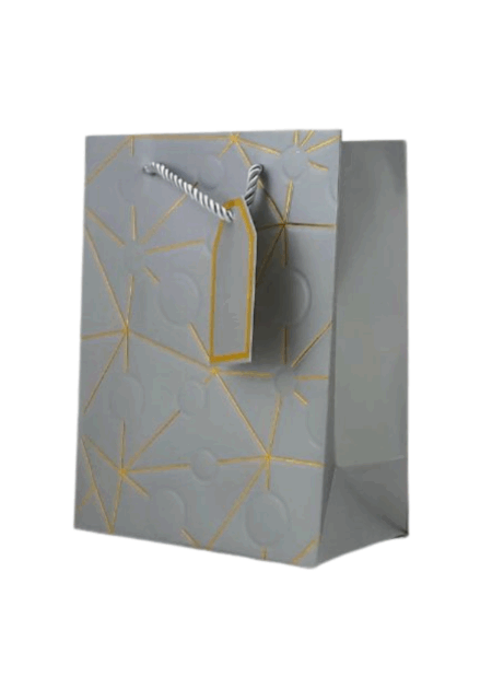 Gift bag silver with star