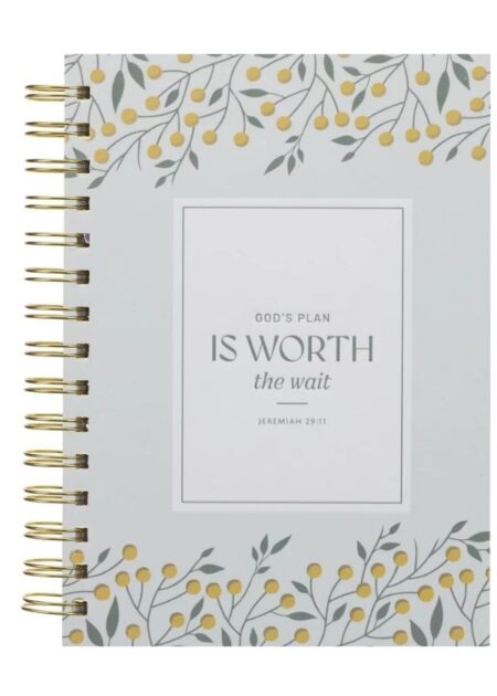 God's Plan Is Worth The Wait - Journal