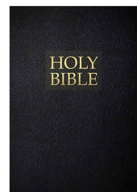 Gift & Award Bible - Holy Bible