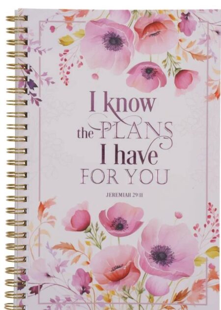 I know The Plans I have For You - Journal