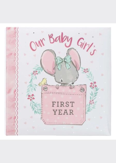 Our Baby Girl's First year