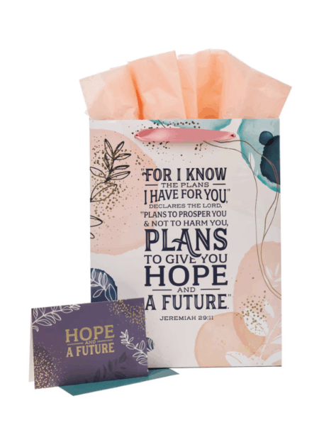 Gift Bag - Hope And A Future